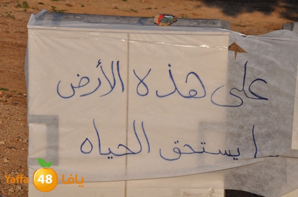 kidsrabeta515 (49).JPG